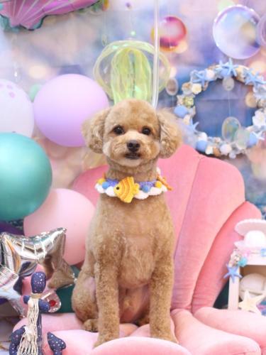 20240804おでんくん